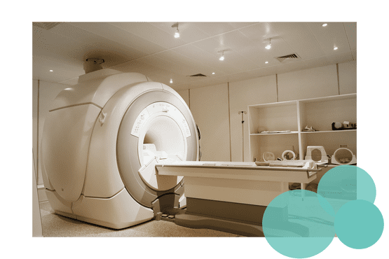 Pet MRI Scanning